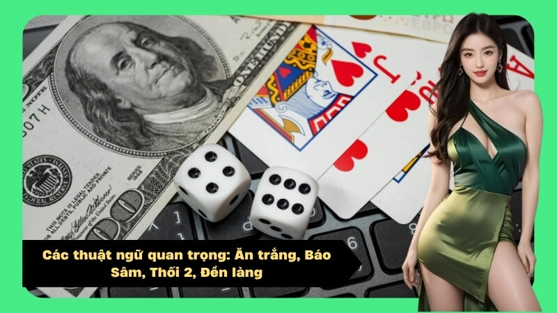 Các thuật ngữ quan trọng: Ăn trắng, Báo Sâm, Thối 2, Đền làng