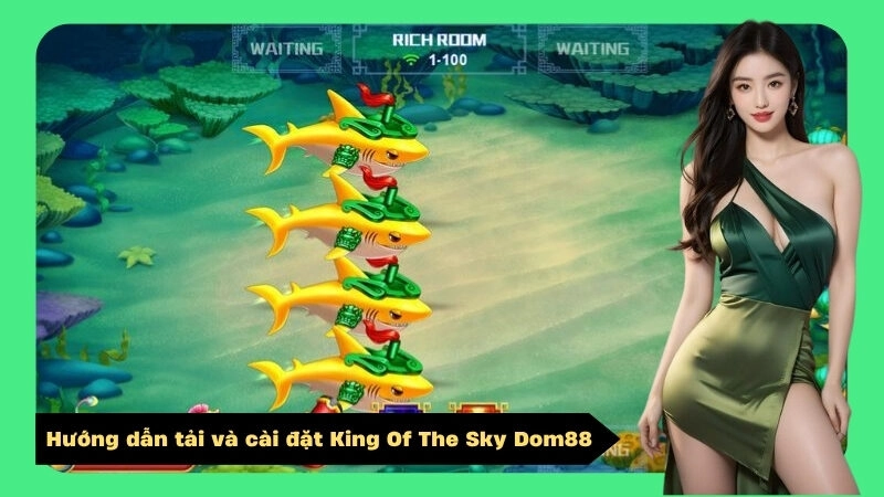 Hướng dẫn tải và cài đặt King Of The Sky Dom88