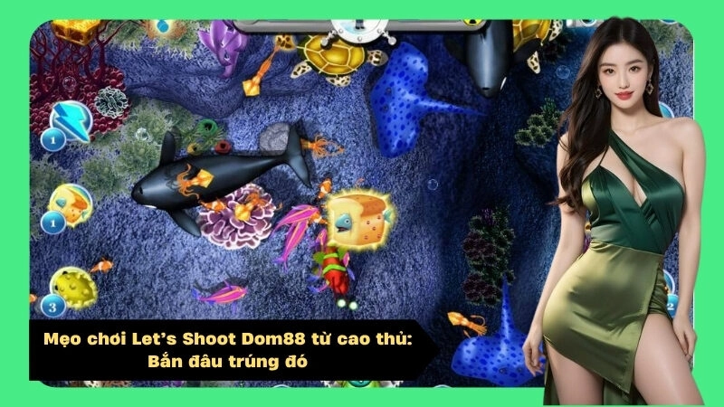 Mẹo chơi Let’s Shoot Dom88 từ cao thủ: Bắn đâu trúng đó