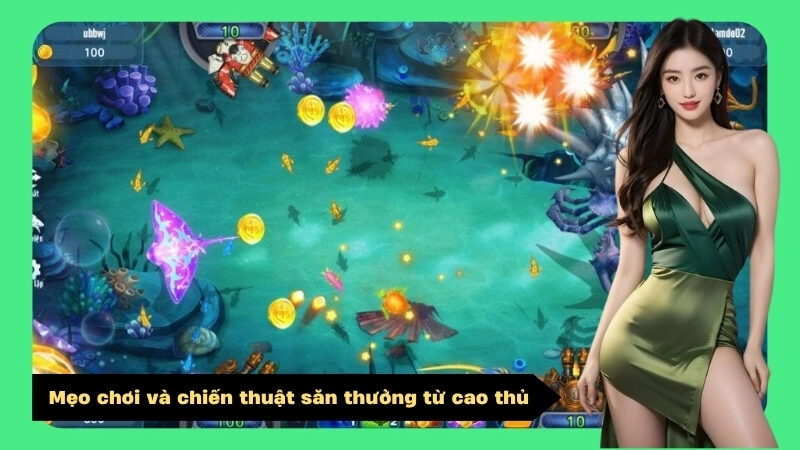 Mẹo chơi và chiến thuật săn thưởng từ cao thủ