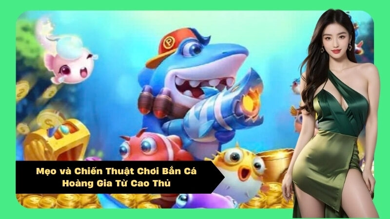 Mẹo và Chiến Thuật Chơi Bắn Cá Hoàng Gia Từ Cao Thủ